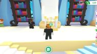 What are Adopt Me! codes and its importance (Image via Roblox and Sportskeeda)